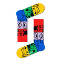 Colorful Friends Sock