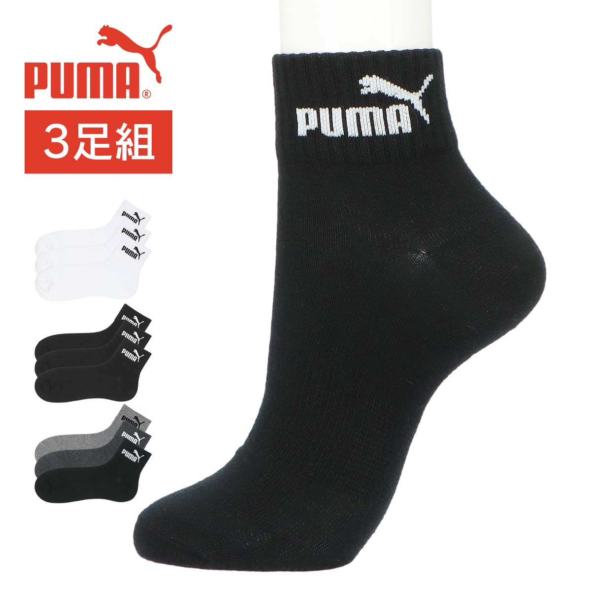 スポーツクォーター バンドル